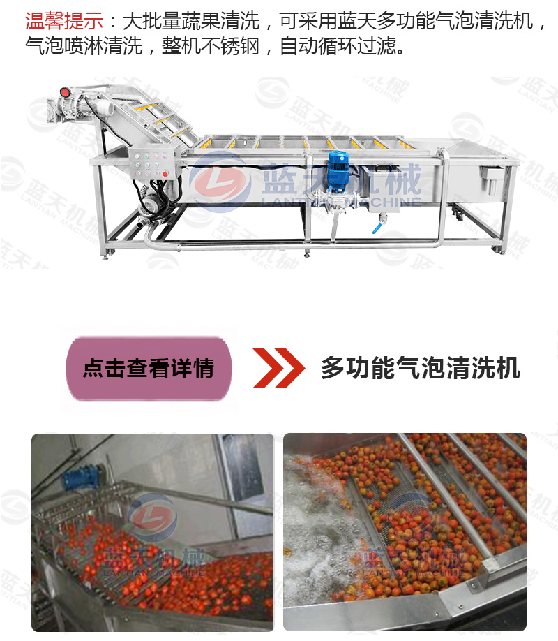 黃花菜網(wǎng)帶烘干機相關產品