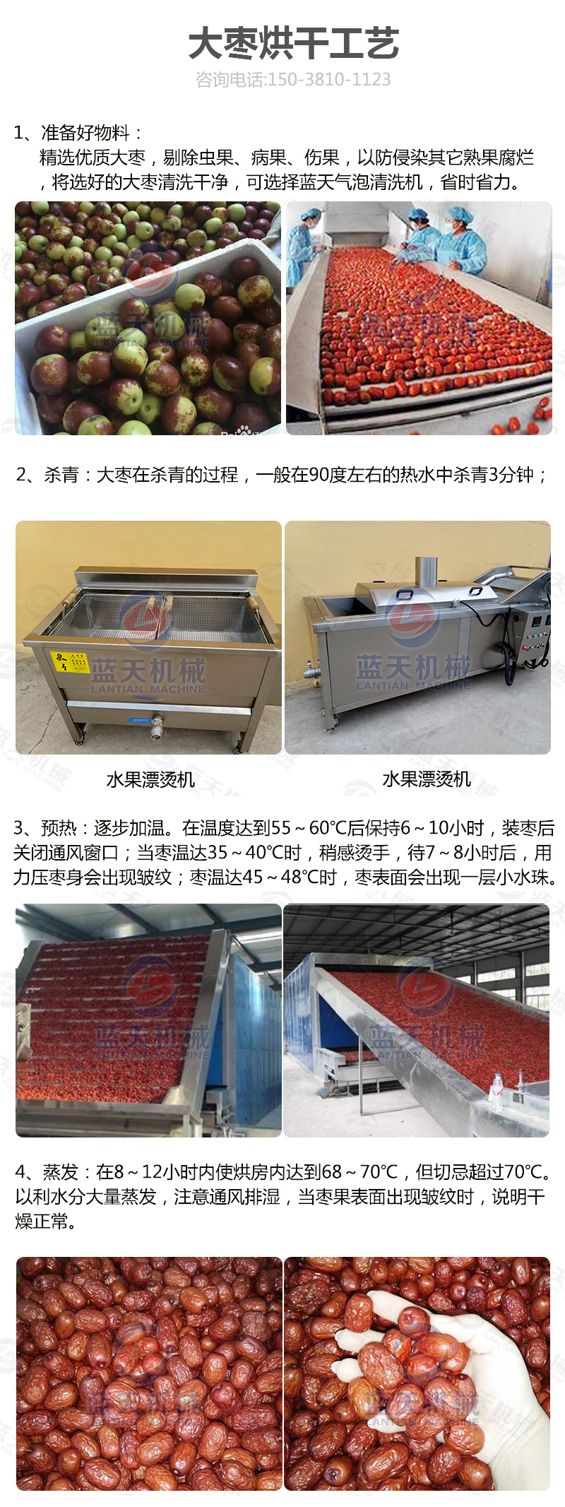 大棗網帶烘干機烘干工藝