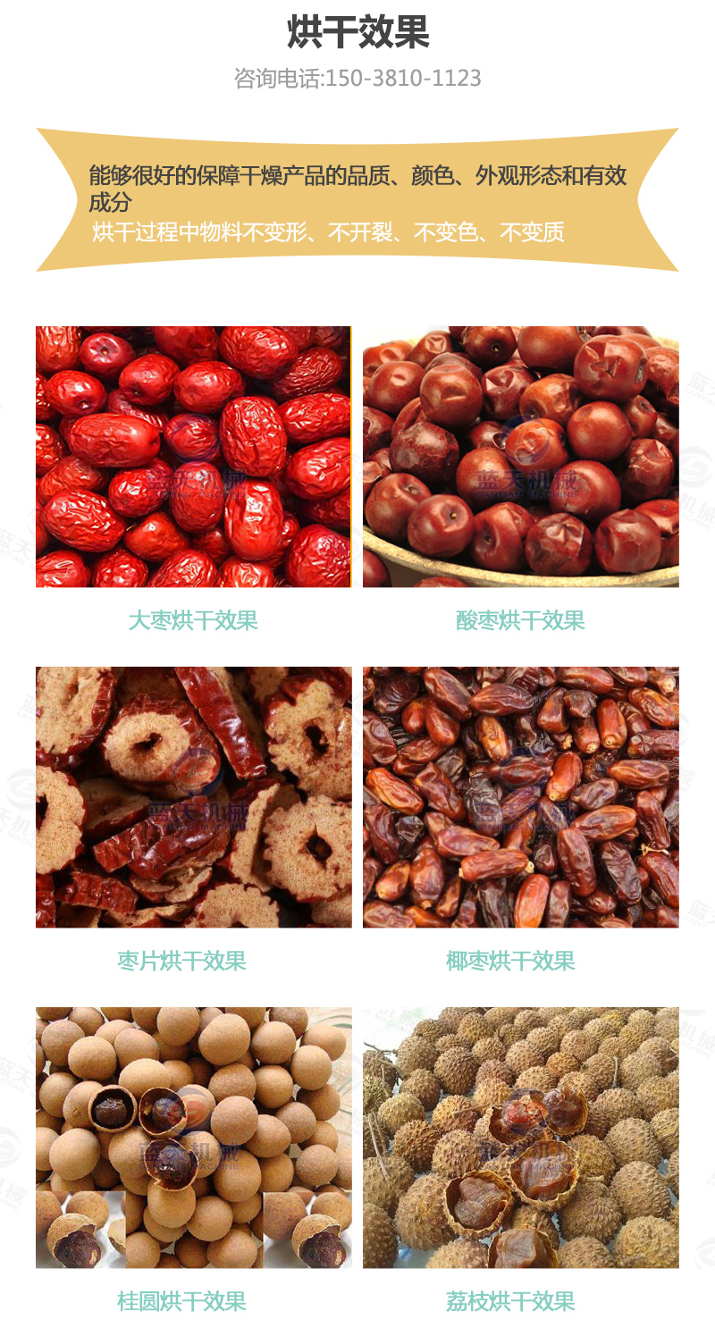 大棗網帶烘干機烘干效果