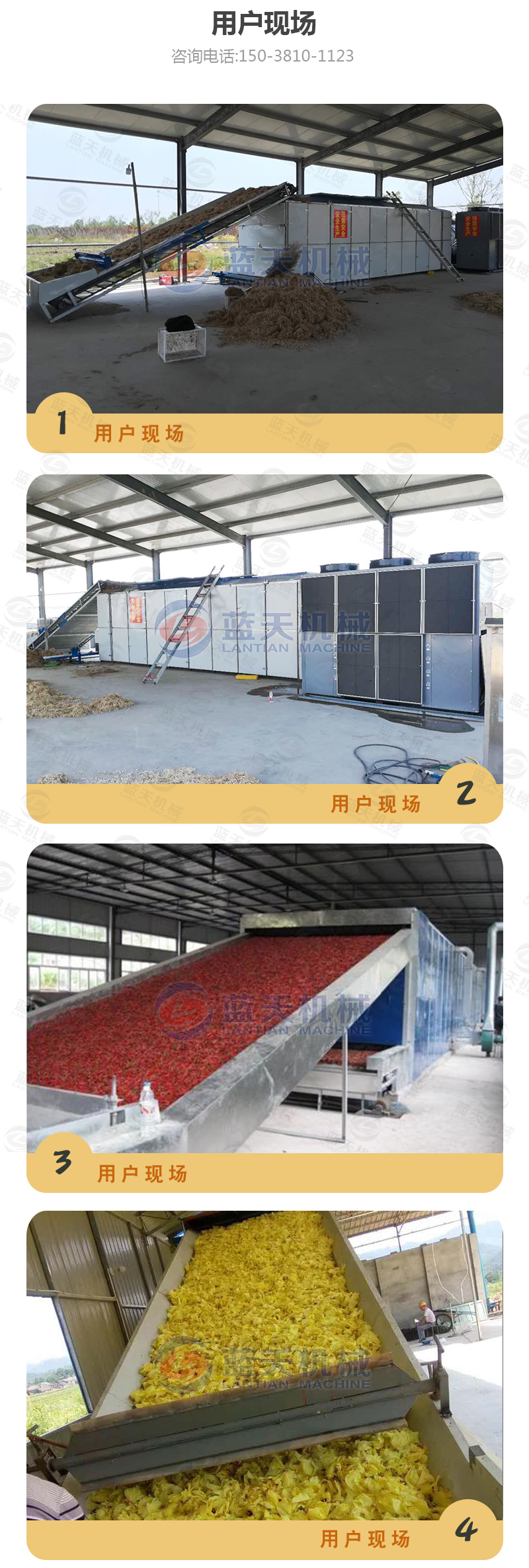 大棗網帶烘干機用戶現場