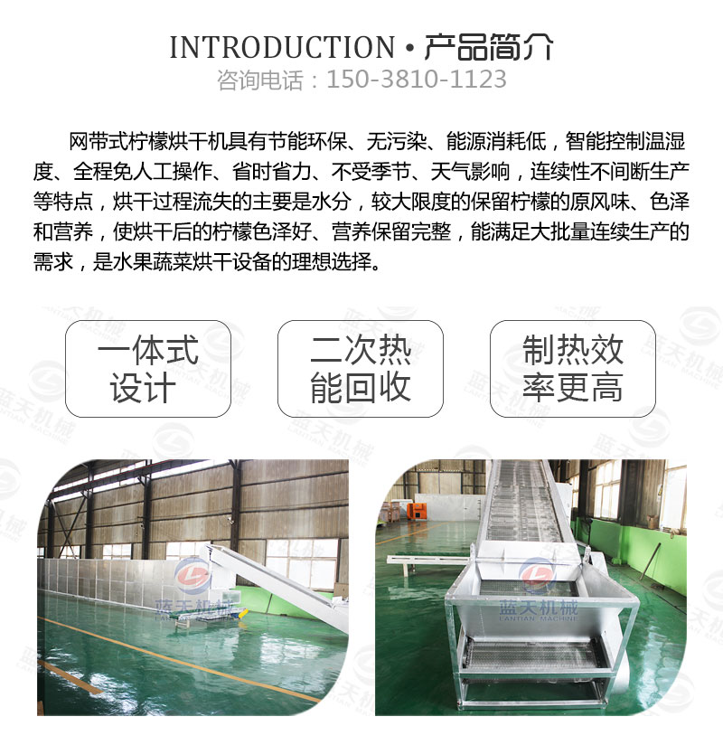 檸檬片網帶烘干機產品簡介