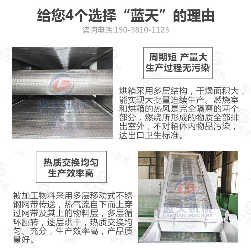 檸檬片網帶烘干機選擇藍天