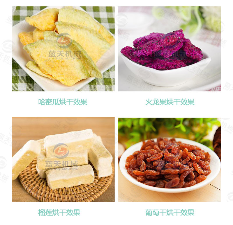 檸檬片網帶烘干機烘干效果