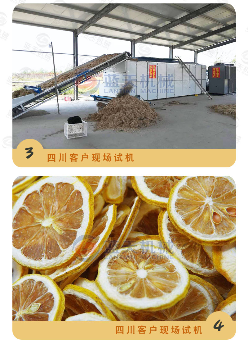 檸檬片網帶烘干機試機現場