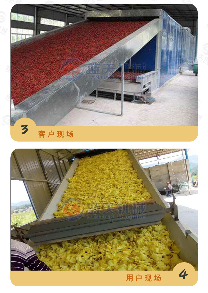 地瓜干網(wǎng)帶式烘干機(jī)用戶現(xiàn)場