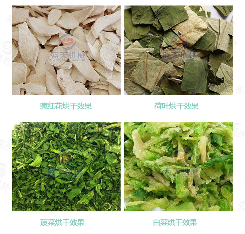 牧草網帶式烘干機烘干效果