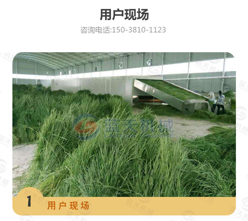 牧草網帶式烘干機用戶現場
