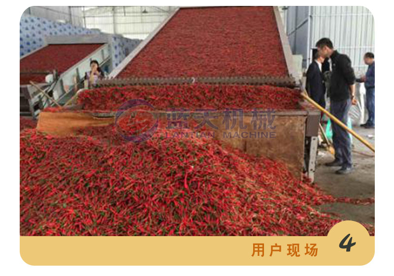 牧草網帶式烘干機用戶現場